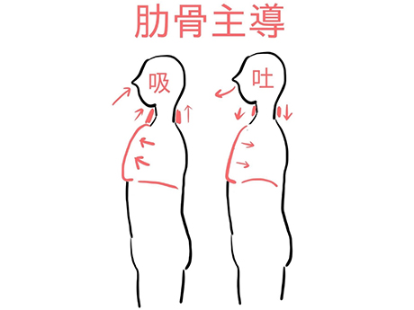 Lesson 1:老師，什麼是腹式呼吸? 用肚臍呼吸嗎?